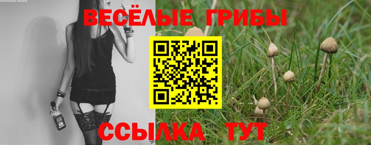 Галлюциногенные грибы прущие грибы  Галлюциногенные грибы прущие грибы  Вход с VPN  Кемерово 