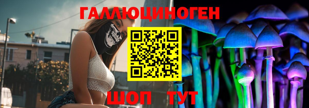 Псилоцибиновые грибы Psilocybine cubensis Кемерово